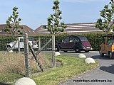 Zandlemig Vlaanderen